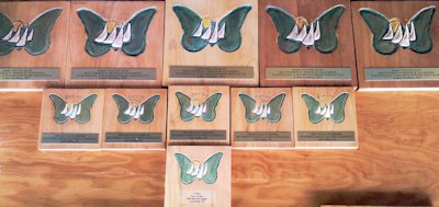 Trophy table at the2008 Butterfly Single-Handed National Championship in WI
